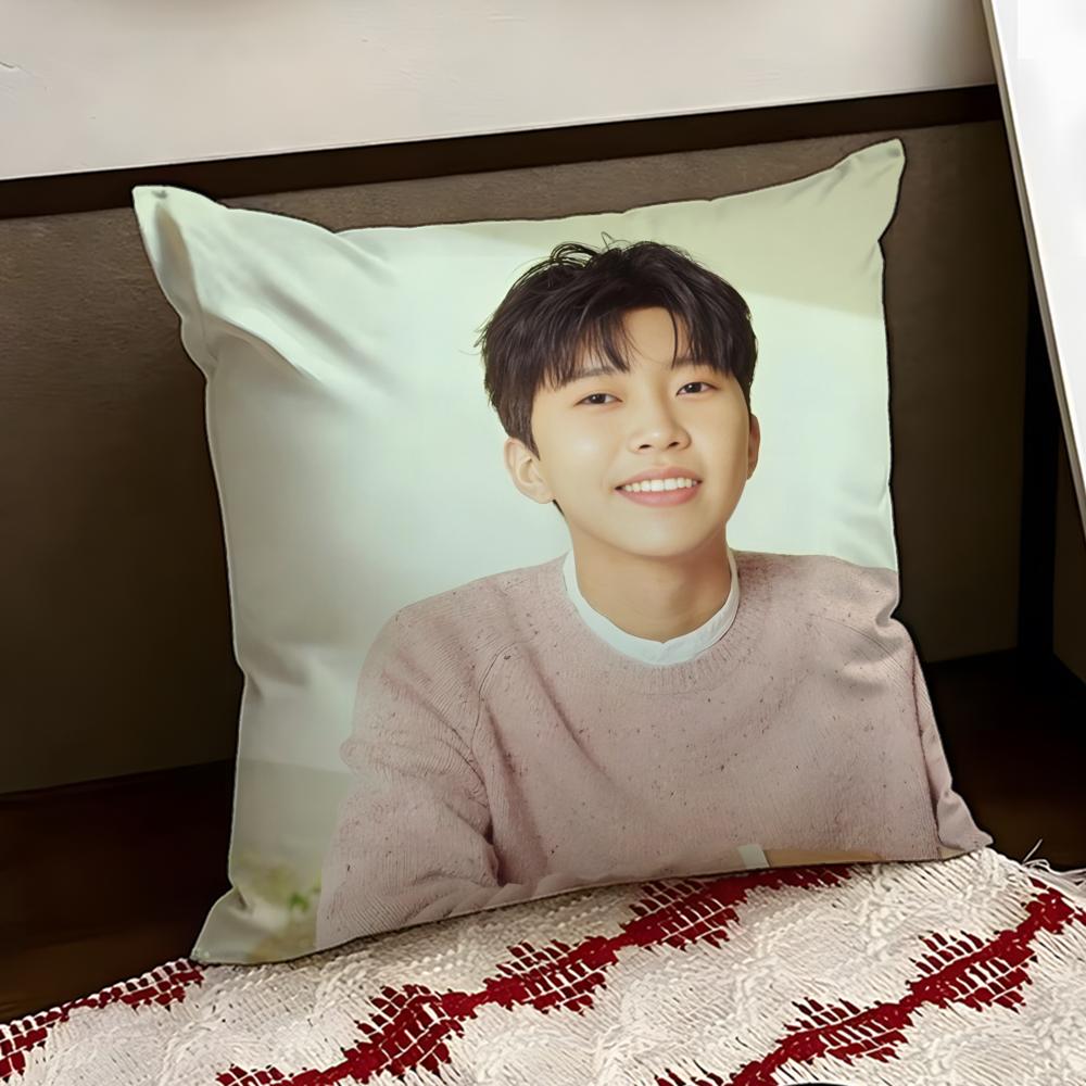 LLim Young WWoong Cushion Cover Reversible Soft Durable Pillow Cover Home Car MultiScene Use for Daily Comfort