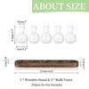 BHBL Plant Terrarium Propagation Station, Glass Planter Bulb Vase with Wooden Tray, Modern Bud Vases for Living Room