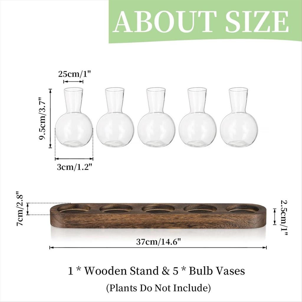 BHBL Plant Terrarium Propagation Station, Glass Planter Bulb Vase with Wooden Tray, Modern Bud Vases for Living Room