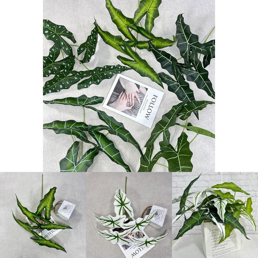Alocasia Odora Plastik Grünpflanze mit lebhaften Blattfarben für Hochzeitsveranstaltungen und Heimgebrauch