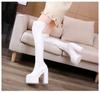 Women's Over The Knee Boots 15CM High Heel Waterproof Stretch Leather Thigh High Boots Black White ZYW-831-11