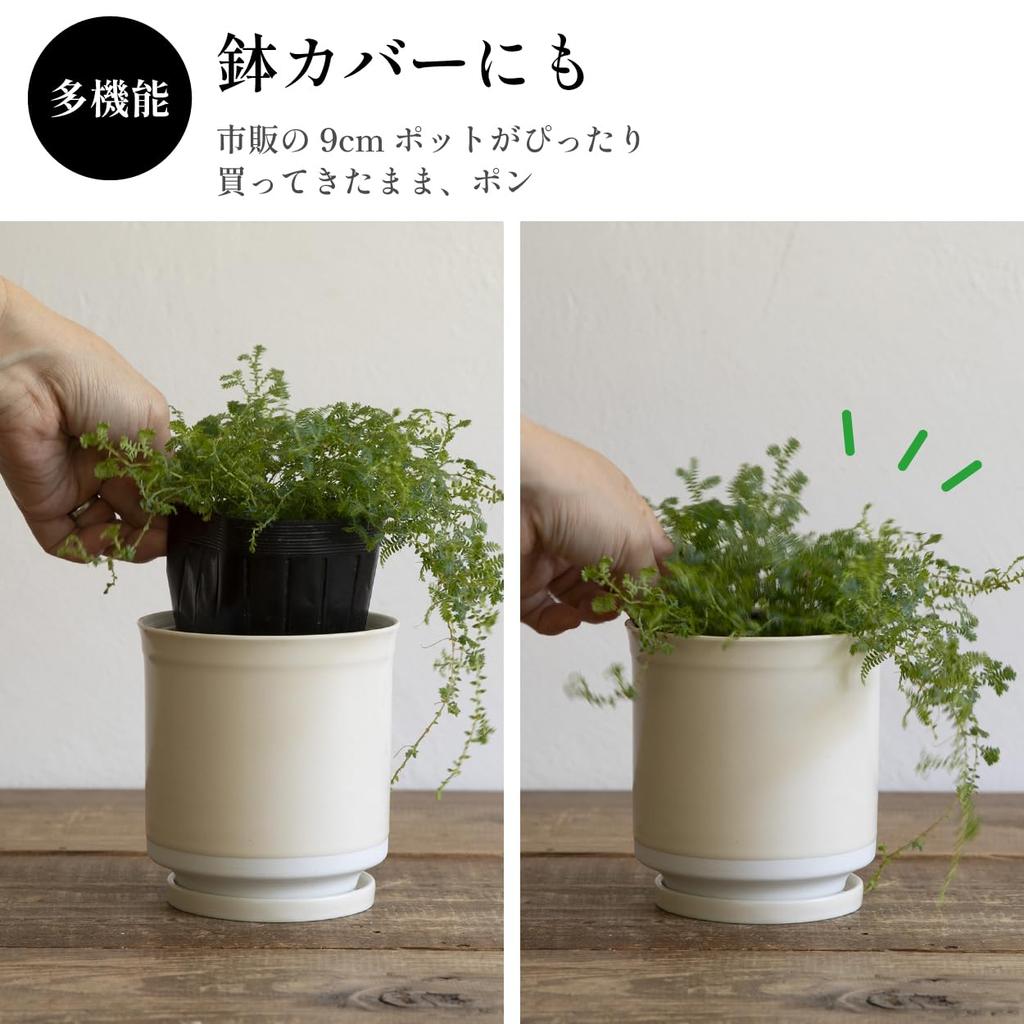 Leaf88 Hasami-Keramik Blumentopf mit Größe und Untertasse, handgefertigt in Japan, 10,5x11,5cm, 3,5 (Senf Weiß)