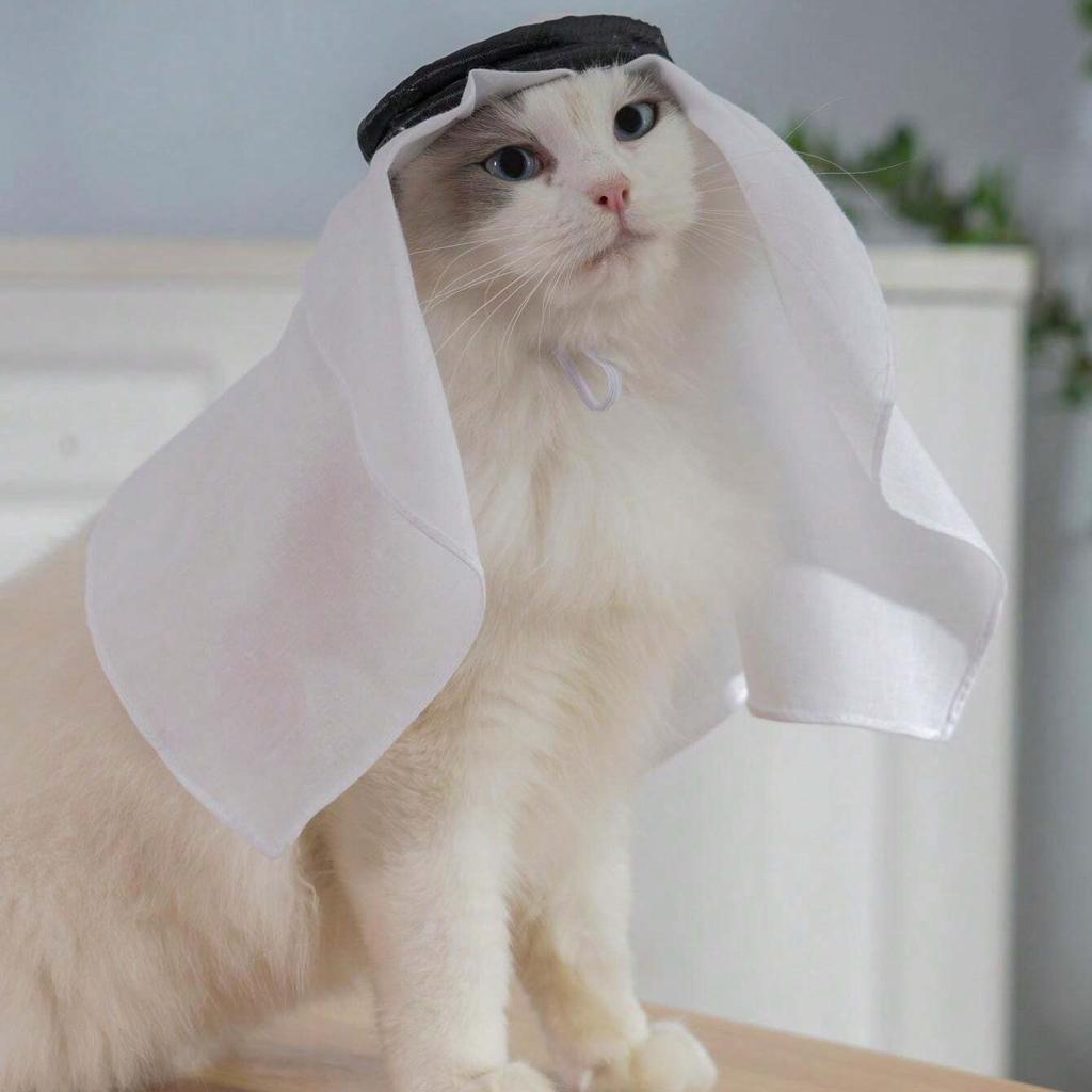 1pc Pet Bandana Hat Sunscreen Windproof Sandproof Handmade Headwear Pet Dressing Up Cos Mascot