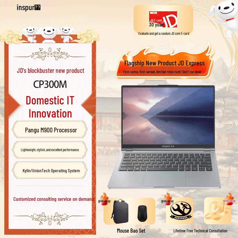 Inspur CP300M Pangu M900 Laptop (CN version) 8GB RAM, 512GB SSD, Integrated Graphics