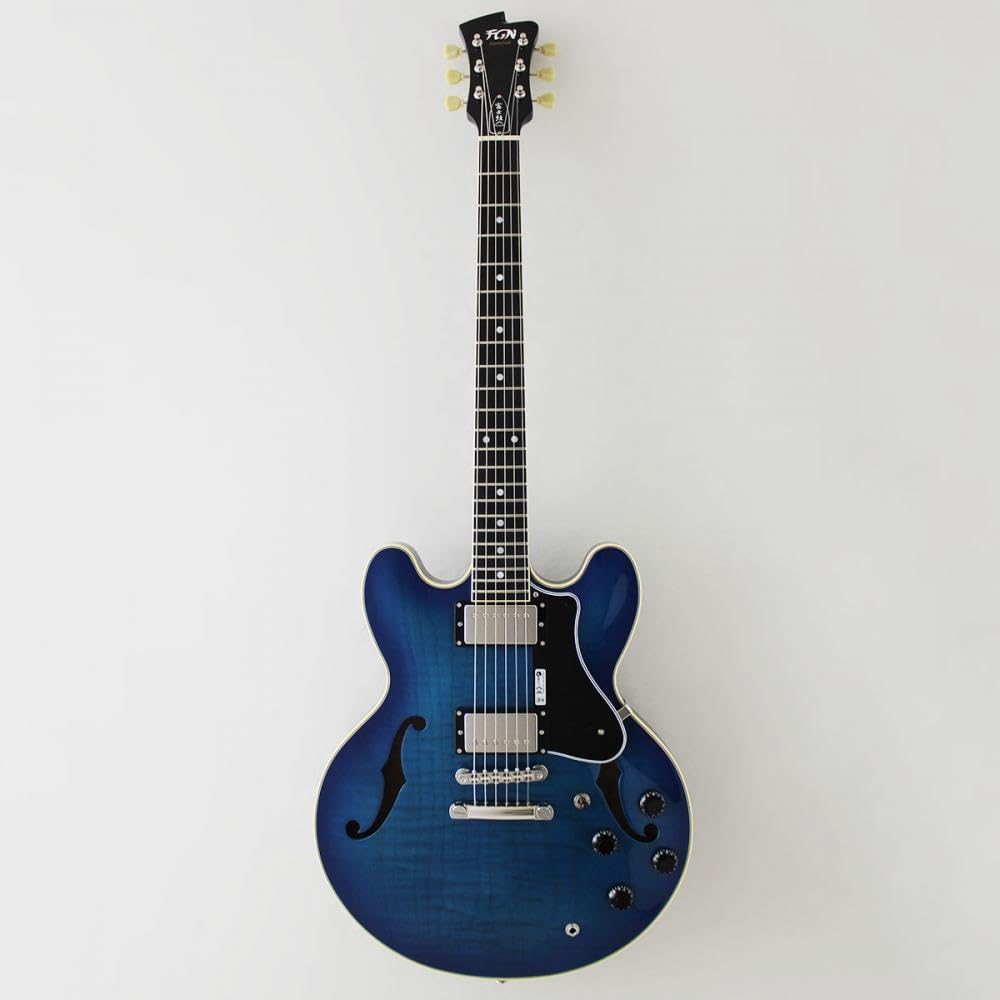 

FUJIGEN Masterfield MSA guitar MSA-HP/BBT semi-acoustic синій