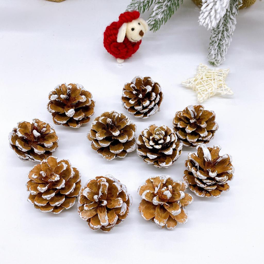 Natural Dried Pine Cones for Christmas Tree Decoration, Photography Props, Floral Wreaths, and Bouquets.