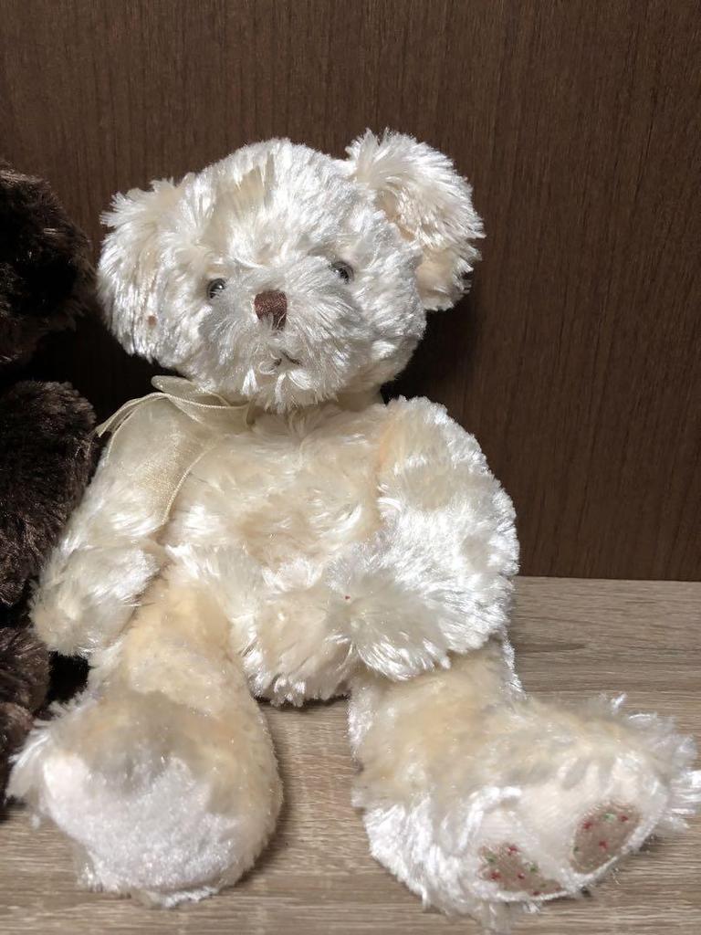 [USED] ROSS Teddy Bear Chocolate & Sugar (2 Pieces)