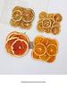 Dried Fruit & Flower Candle Kit: Grapefruit, Lemon, Orange Slices in Glass