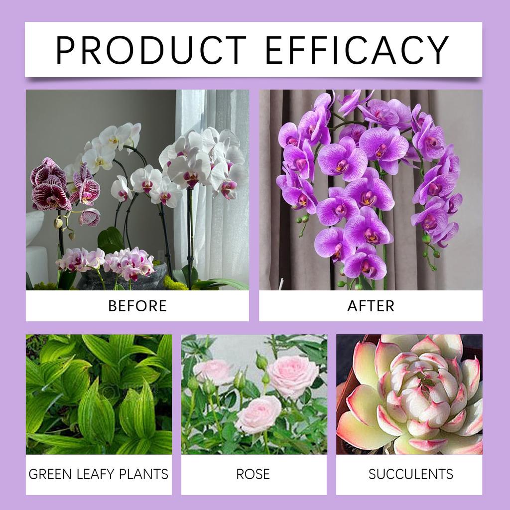 Orchid Plant Growth Agent Special Nutrient Solution For Flowers And Green Plants Suitable For Orchid Potted Plants 50ML