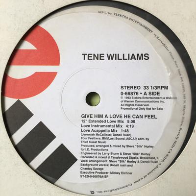 12inch Record TEN? WILLIAMS - Give Him A Love He Can Feel 066876 Elektra 1993 US Soul/Funk Used