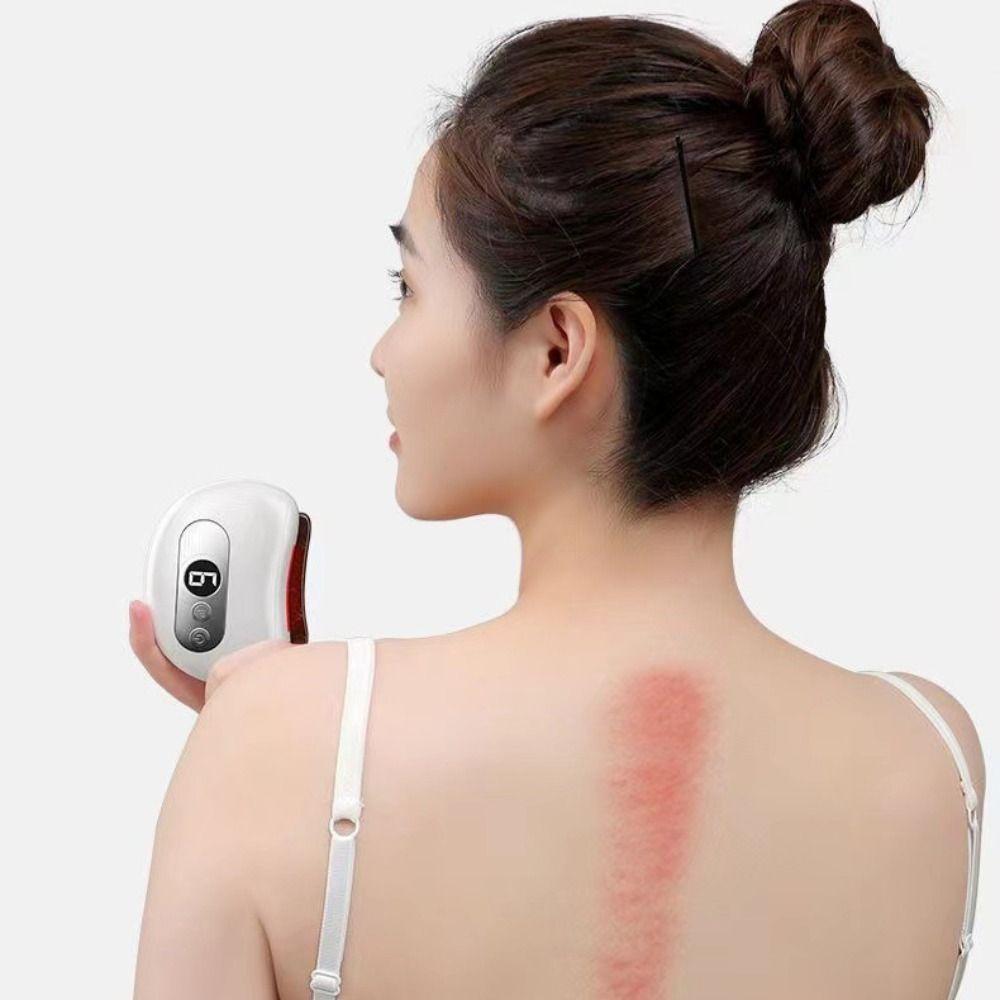 Constant Temperature Electric Scraping Plate Deep Conditioning Face Massager  Professional Use