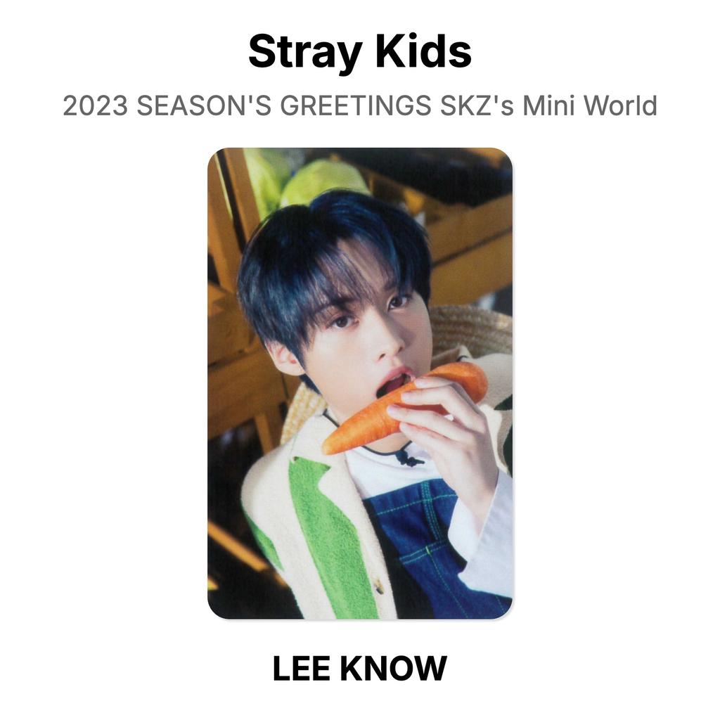 Stray Kids 2023 SEASON'S GREETINGS SKZ's Mini World Official Photocard