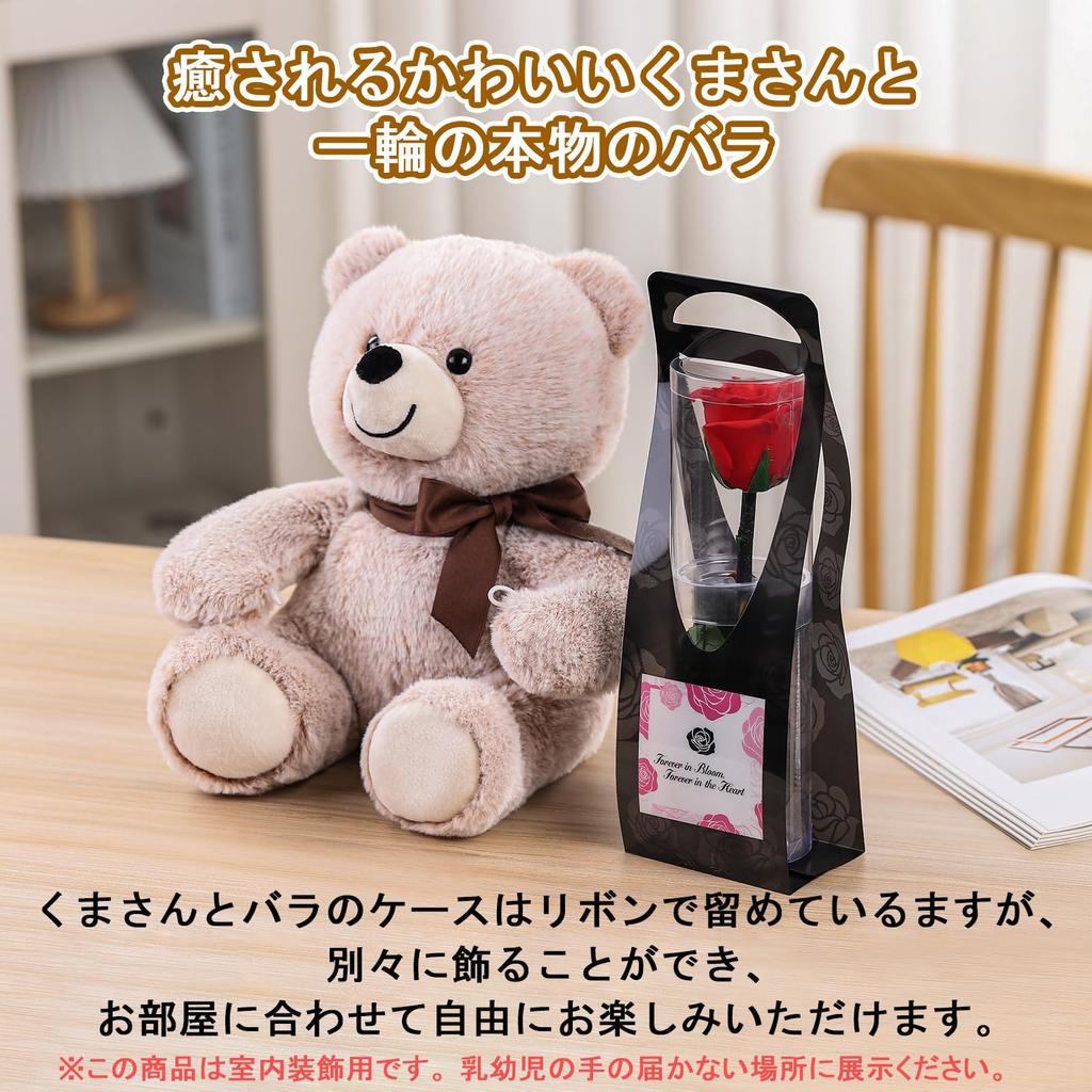 Preserved Rose Bouquet for Women, Birthdays, Anniversaries, Weddings, and Special Occasions. Includes a Plush Bear and a Single Red Rose. Perfect As