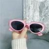 Popular Fashion Polygon Cat Eye Women Sunglasses Retro Colorful Oval Eyewear Shades UV400 Men Trending Sun Glasses
