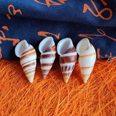 Vissen en zeedieren – Aquarium decoratie