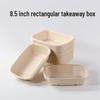 Eco-Friendly Disposable Pulp Food Container with PET Lid