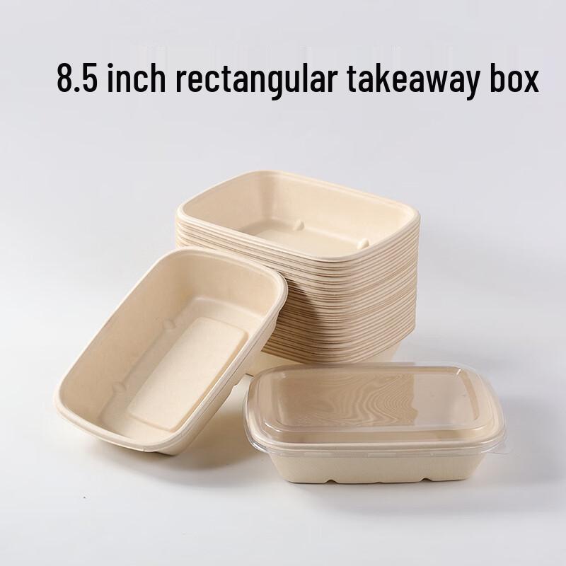 Eco-Friendly Disposable Pulp Food Container with PET Lid