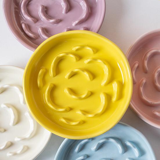 Raised Pet Slow Feeder Bowl, Ceramic Slow Down Eating Food Bowl, Anti Vomiting Food Dish for Small Medium Dogs & Cats