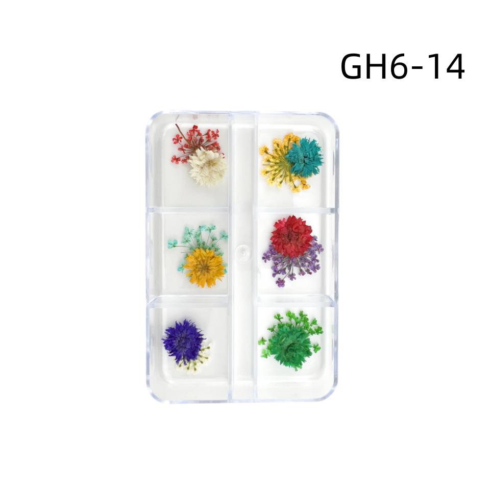 6-Grid Natural Dried Flowers for Nail Art - Japanese Style Sunflower & Baby's Breath DIY Decorations