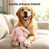 Plush Squeaky Dog Chew Toy with Soft Squeaker Cute Stuffing Chew Toy Tear- for Small Medium Large Dogs Indoor Outdoor