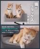 LOE New Idea Cat Arm Cat Bed | Space-Saving, Multi-Cat Friendly, Desk-Mounted Stand