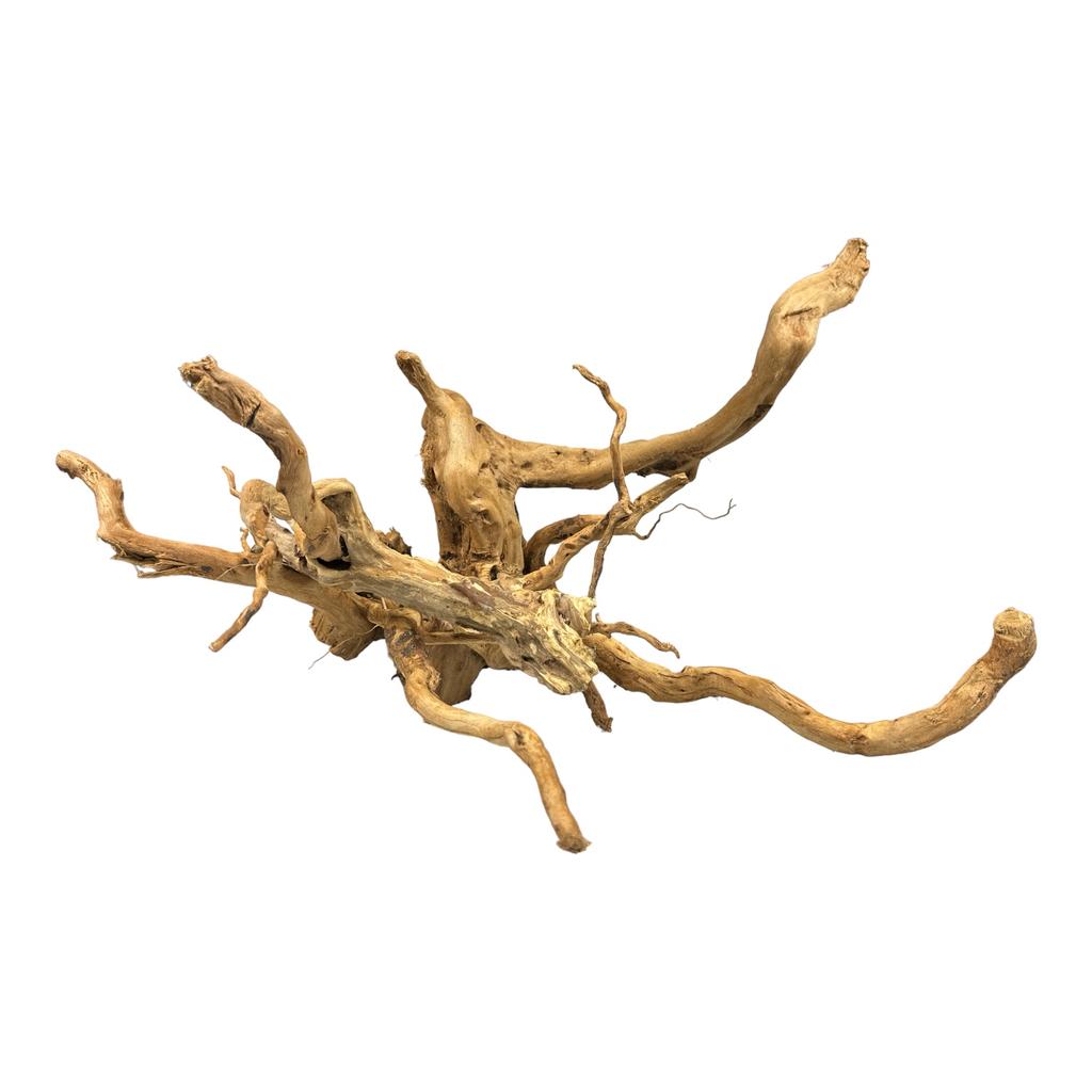 BioRoot Red Moor S / 20-30cm / Japanese root for terrariums and aquariums