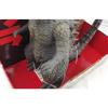Used BANDAI Monster King Series Godzilla 2023 Soft Vinyl