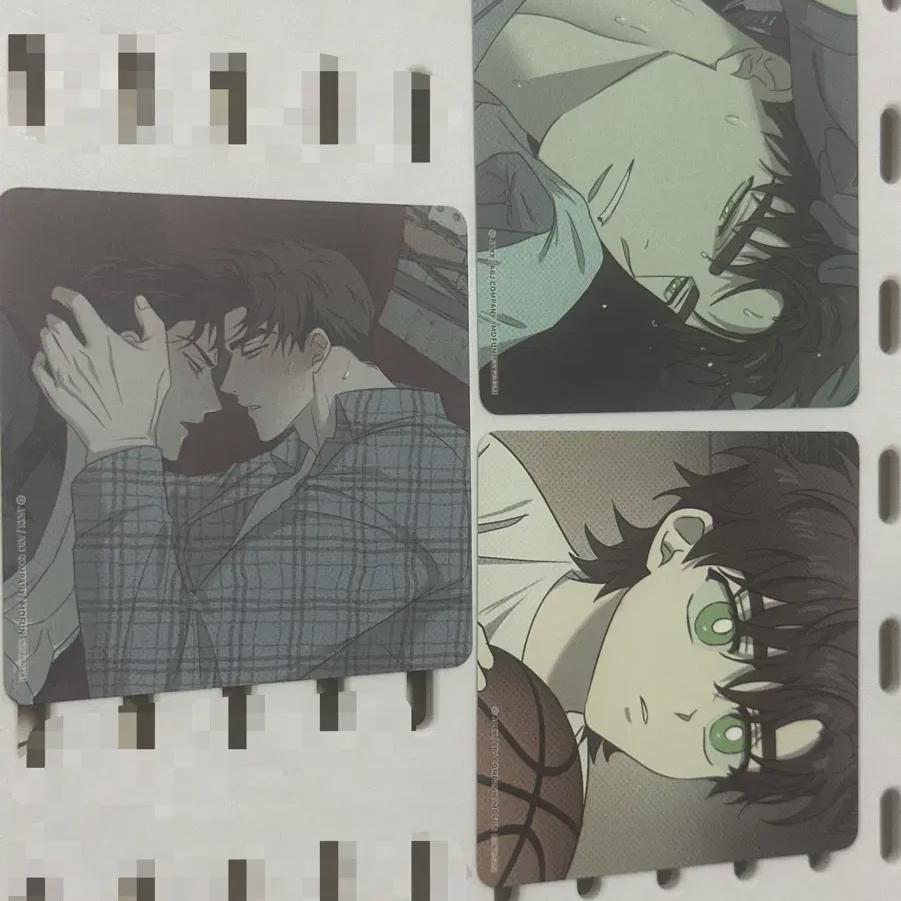 

Green Jeon Sang Mofun Coaster