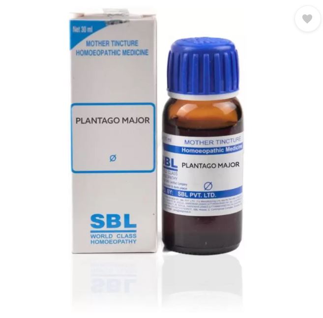

SBL Plantago Major Mother Tincture Q 30 МЛ
