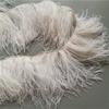 Feather10-15CM Pink Ostrich Feather Trim Fringe No Ribbon for Wedding Party Dress Sewing Accessories 1M Fluffy Multicolor Plumas Fabric