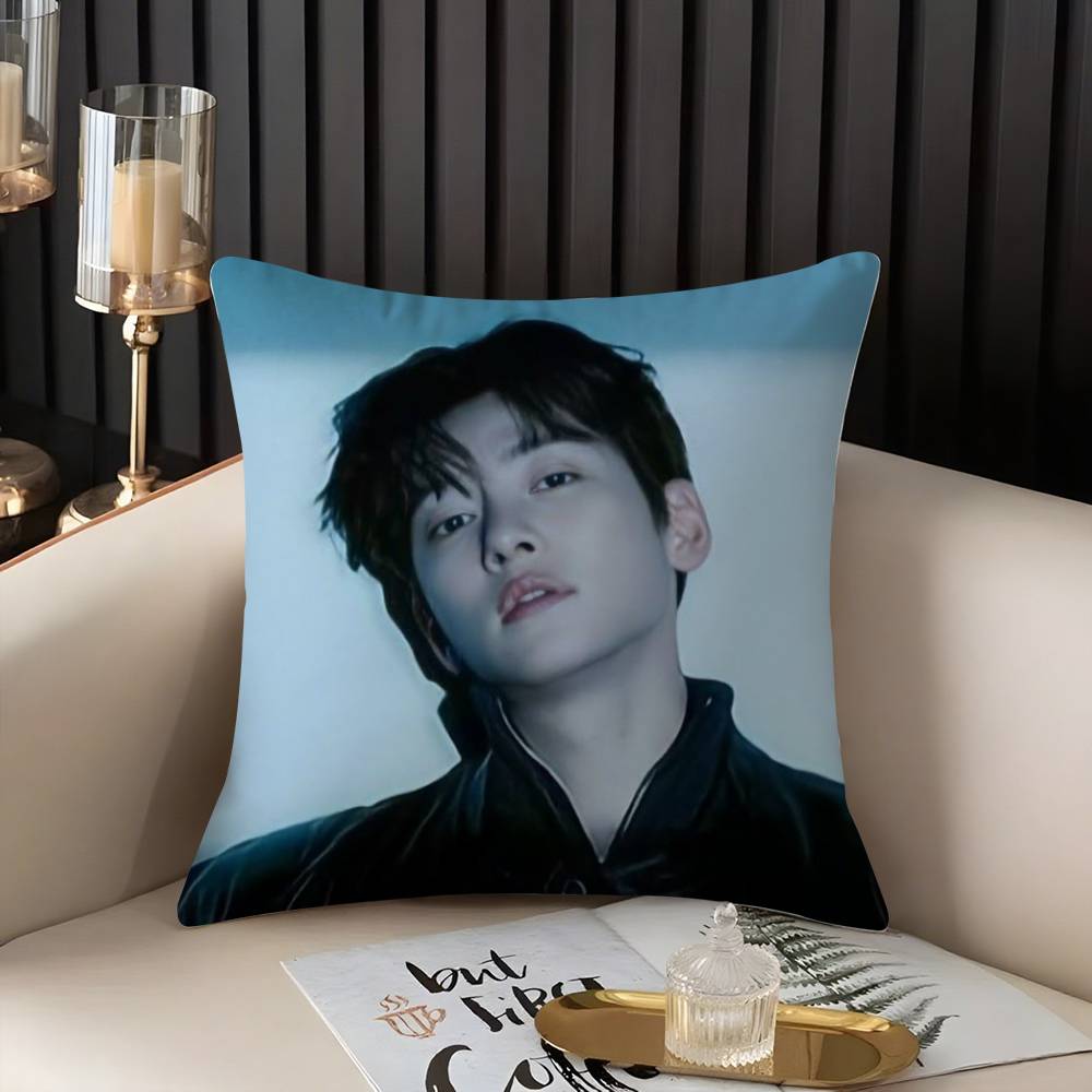 J-Ji C-Chang Wook Kissenbezug Zuhause Wohnheim Stuhllehne Kurzer Plüsch Doppelseitiger Druck Büro Nickerchen Zeit Kissenbezug