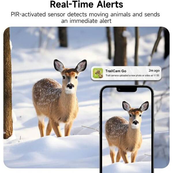 Outdoor 4K 8000mAh 120MP APP Wildlife Infrared Camera Integrated Night Vision Scope IP66 Waterproof Trap Game Cam