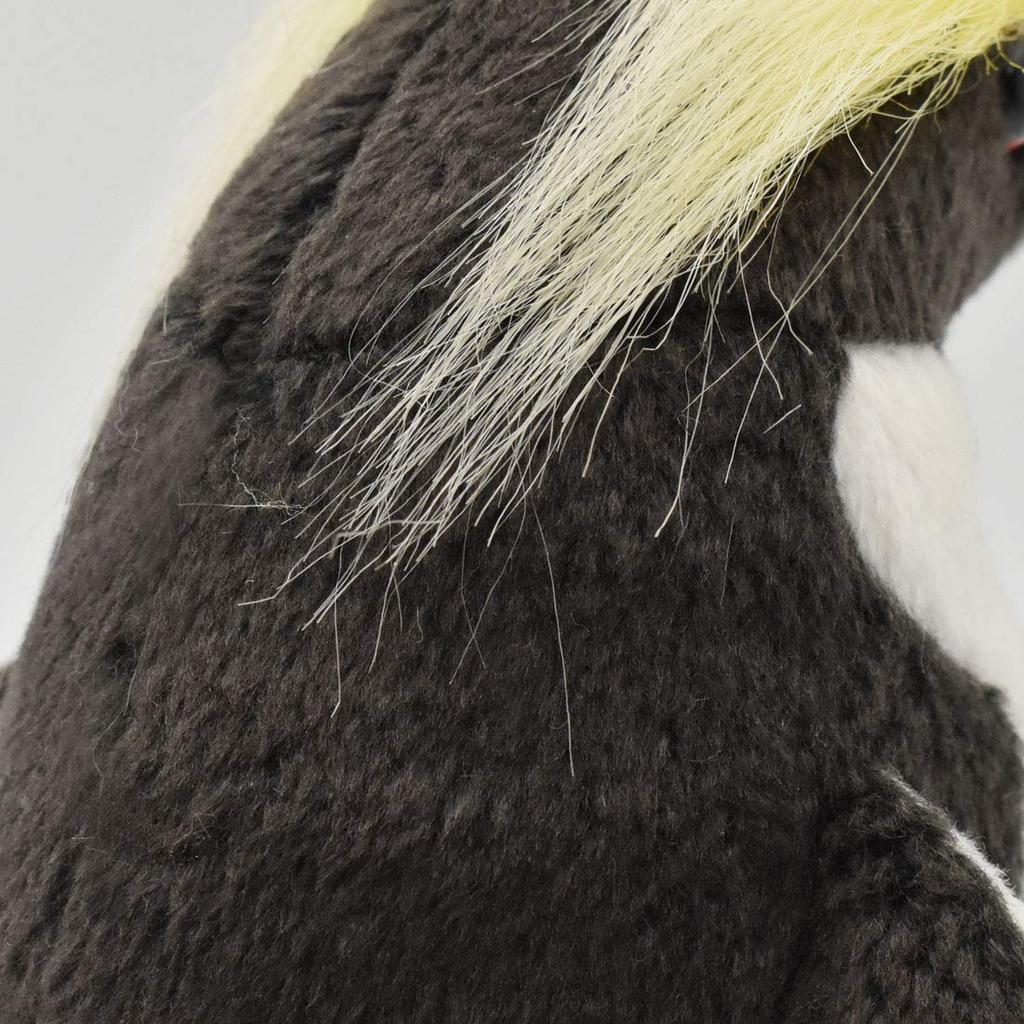 Macaroni Penguin 23 BH7092