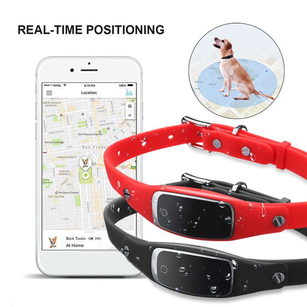 s1 pet gps collar