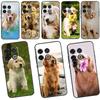 Goldener Retriever Hundehülle Für OnePlus 11 10 9 8 Pro 8T 9R 10T 9RT Ace Nord 2 2T CE N10 N100 N20 N200 Rückabdeckung