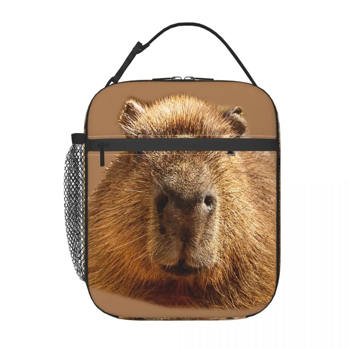 Capybara Dozing In The Sunshine Printing Insulated Lunch Tote Bag Women Portable Cooler Thermal Bento Box Kids School Children One Size