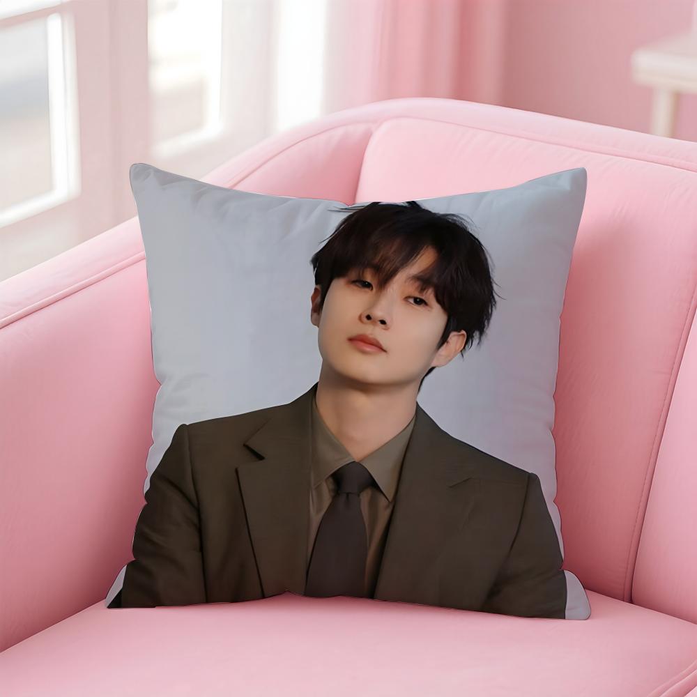 Talented Korean Actor CChoi Wooshik Cushion Cover Pillowcase Short Plush Invisible Zipper Room Sofa Cushion Cover