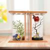 Creative Bamboo and Wood Eco Fish Tank, Dual-Glass Desktop Mini DIY Goldfish and Betta Fish Micro Landscape Aquarium