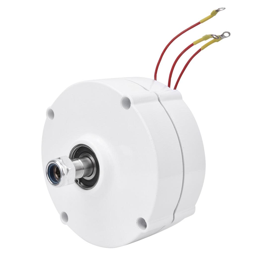 12V 100W Ανεμογεννήτρια Γεννήτρια Μόνιμου Μαγνήτη Τριφασική Σύγχρονη Γεννήτρια NE100Generator