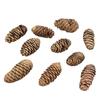 Pine Cone Christmas Ornaments: 1-18CM Decorative Pendants & Photo Props for Trees