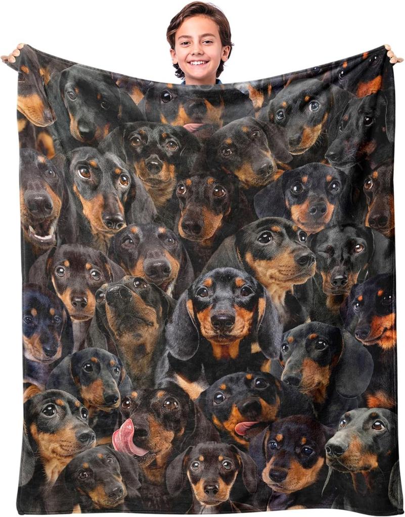 Labrador Dog 3D Printing Throw Blanket Gifts for Soft Sofa Bed for Teen Girls Boys