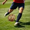 1pc Golden Retriever Garden Theme Soccer Ball Football, Size 5, Lightweight PVC, Outdoor Training Soccer Ball,Sports Gift t61416