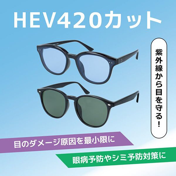 ARCSTYLE HEV420 Cut Sunglasses Frame Shiny Light Gray Lens Light Blue D2010-2 Color Color