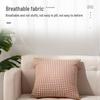 Aiwei Sofa Cushion Pillow