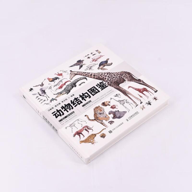 Illustrated Guide To Animal Anatomy