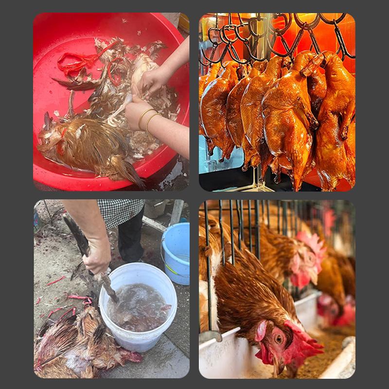 Spiumatrice Elettrica Rapida Piume Efficiente Rimozione Piume di Pollo Anatra Oca Epilatore Automatico Depilazione Strumenti per Rimuovere Peli