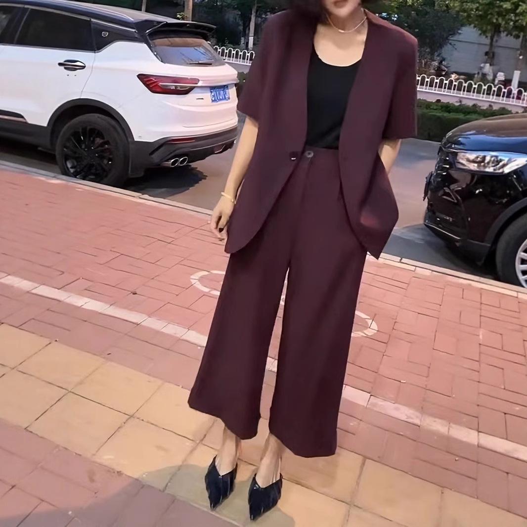 

Plus Size Women s Suit Set: Thin Nine-Tenth Sleeve Blazer & Wide-Leg Pants L