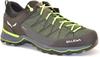 Hiking Shoes Salewa Mountain Trainer Lite GTX (61361) Green Myrtle/ombre Blue
