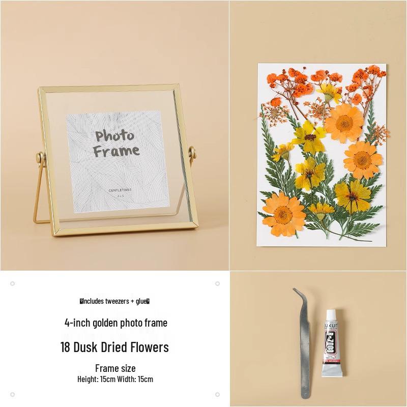 Nordic Creative DIY 3D Dried Flower Frame Kit - Simple Metal & Glass with Glue