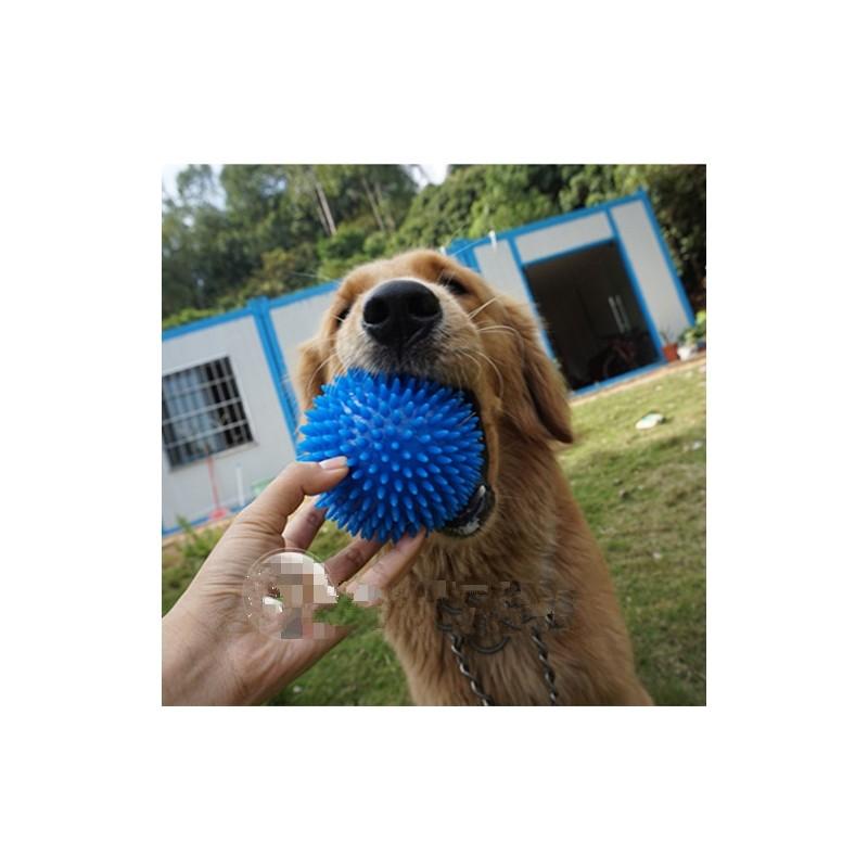 Strapazierfähiges Tpr Igelball Spielzeug für Hunde 6 Lebendige Farben Verfügbar